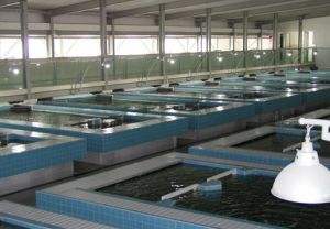 空氣能水產養殖熱泵原理 空氣能水產養殖熱泵原理