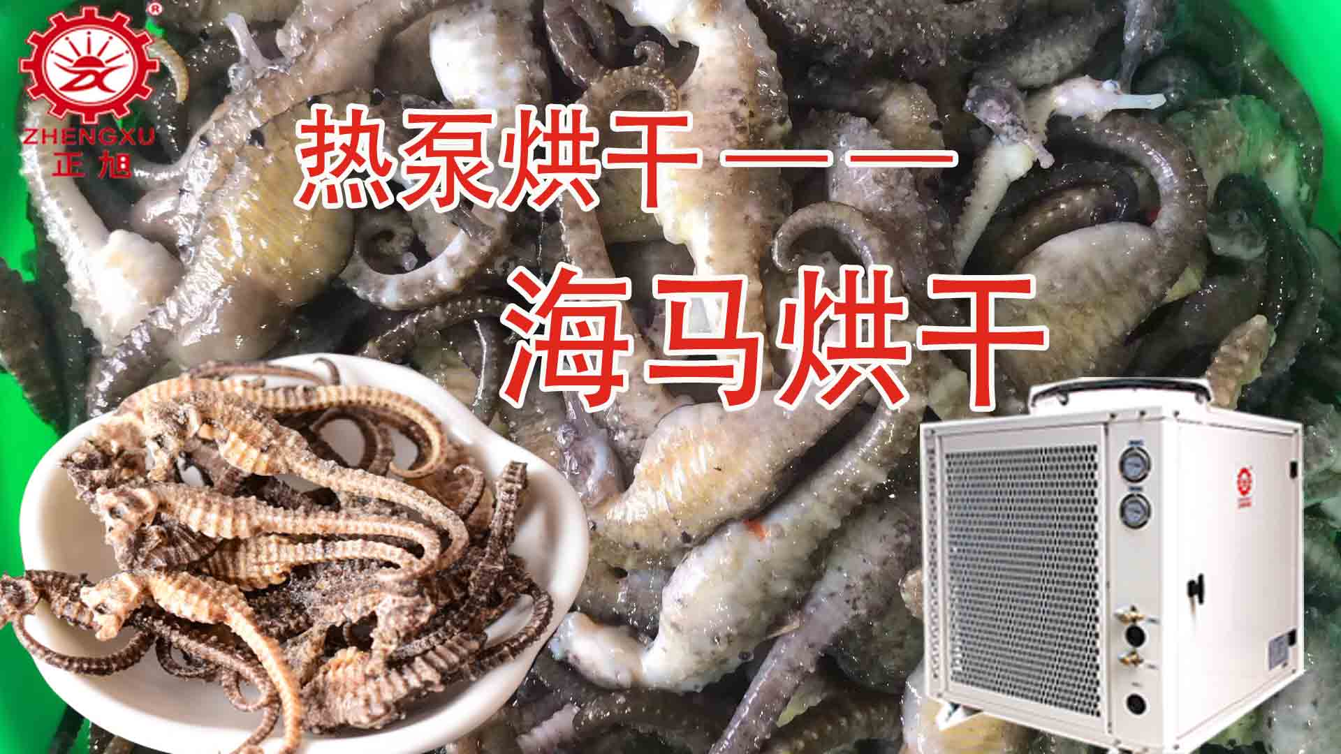 海馬熱泵烘干方法詳解（含研粉、清洗、宰殺、烘干時(shí)間）
