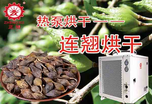 一噸連翹熱泵烘干需要多少錢？「熱泵烘干廠家」為你解答